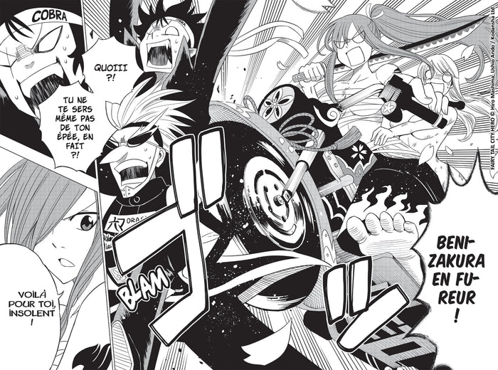 Fairy Tail - City Hero T01