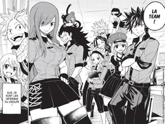 Fairy Tail - City Hero T01