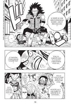 Fairy Tail - City Hero T01