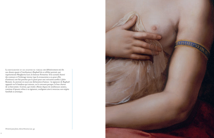 Raphaël par le détail