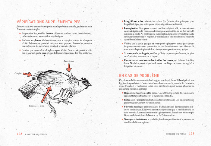 J'élève mes poules dans mon jardin