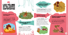 Dis pourquoi Les animaux sauvages