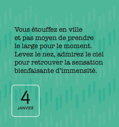 Mini calendrier - 365 Idées positives