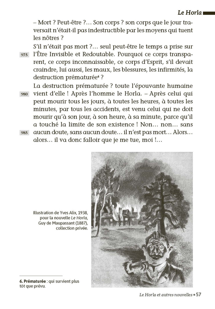 Le Horla - La peur - Un fou ?