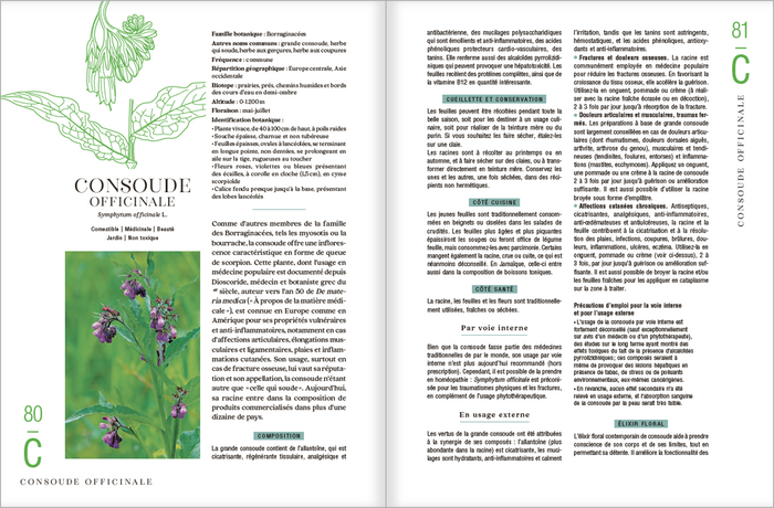 Le guide des plantes sauvages