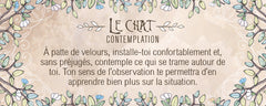 Le petit oracle du druide