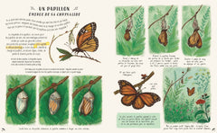 Les secrets de la nature