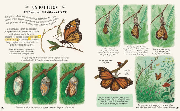 Les secrets de la nature