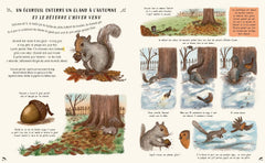 Les secrets de la nature