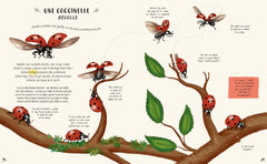 Les secrets de la nature