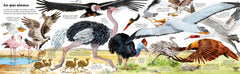 Mon grand livre des animaux