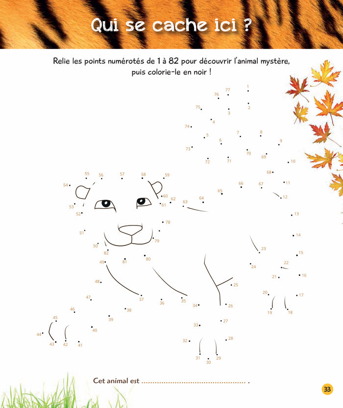 Coloriages magiques Une saison au zoo, spécial jungle