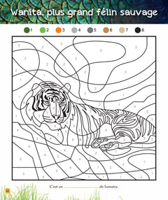 Coloriages magiques Une saison au zoo, spécial jungle