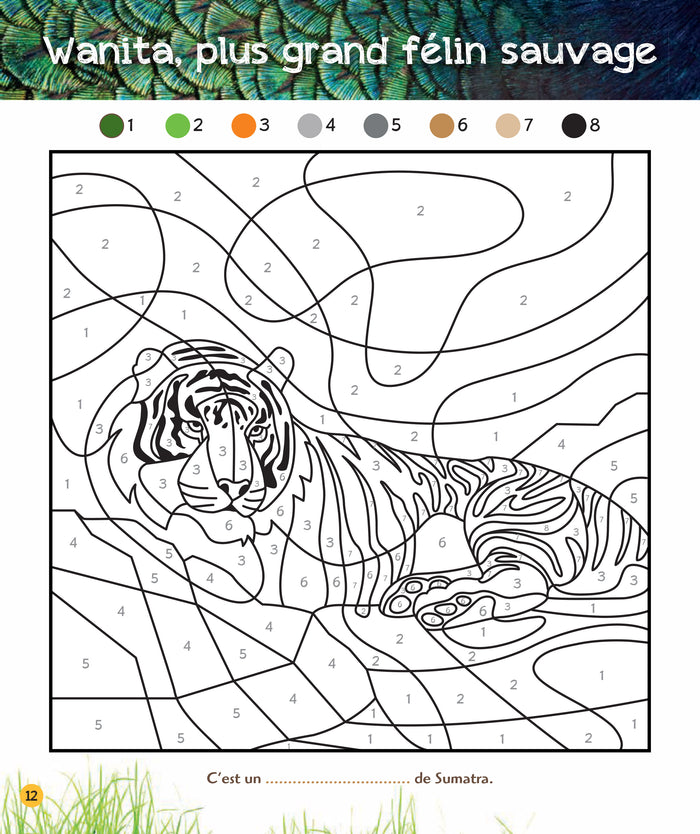 Coloriages magiques Une saison au zoo, spécial jungle