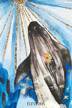 L'Oracle des Pléïadiens