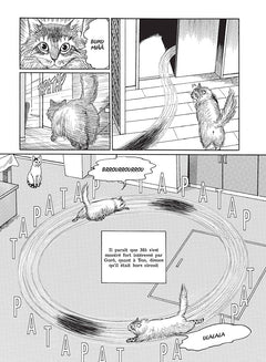 Le Journal des chats - Édition prestige