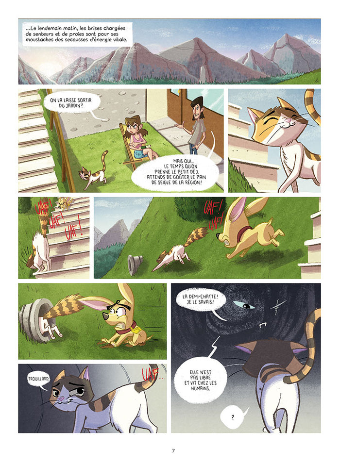 Brina T1: La bande du soleil félin