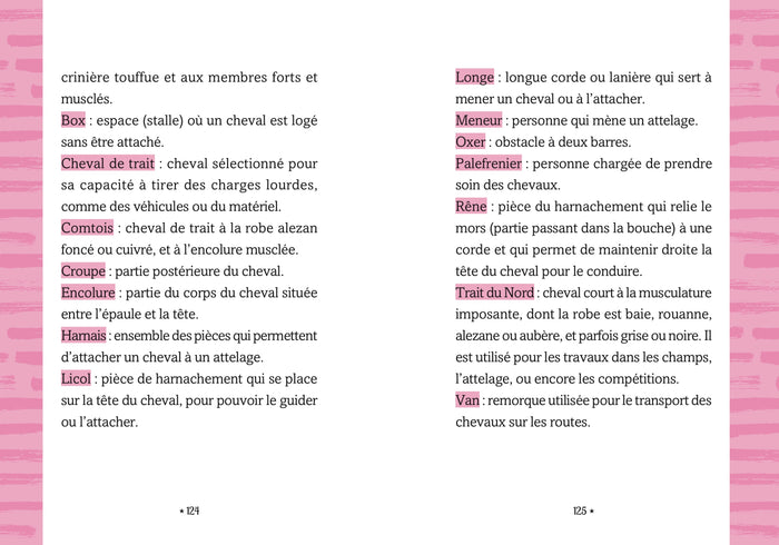 Le galop des étoiles - Le poulain surprise