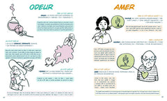 L'Histoire des mots en BD