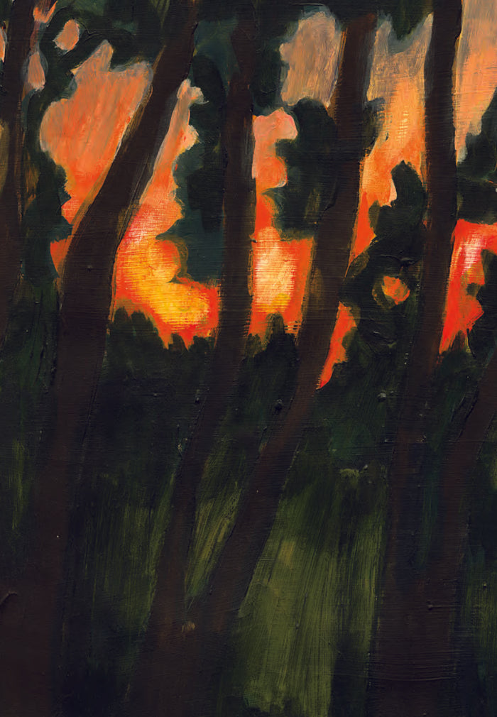 J'ai vu un magnifique oiseau