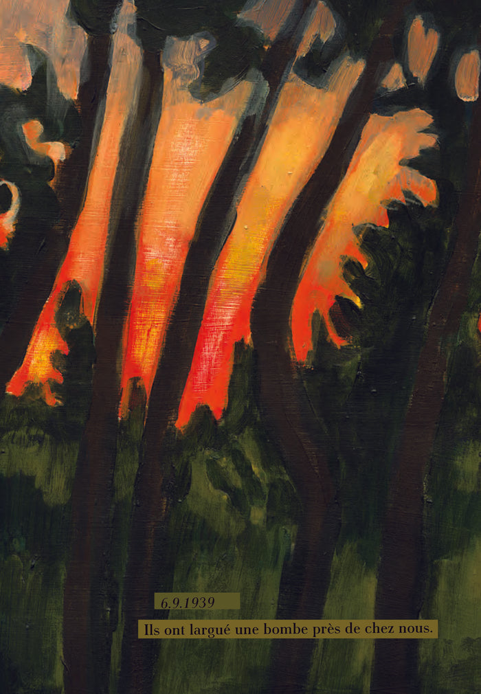 J'ai vu un magnifique oiseau