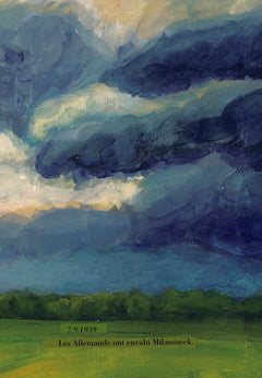 J'ai vu un magnifique oiseau