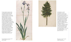 Dürer par le détail