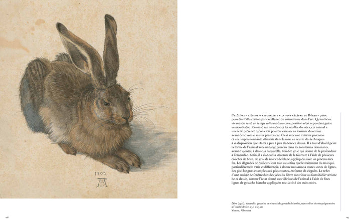 Dürer par le détail