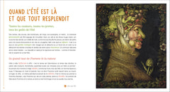 En chemin avec Arcimboldo