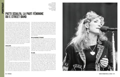 Bruce Springsteen - La Totale: Les 332 chansons expliquées