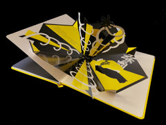 Le Petit monstre du noir Pop-up