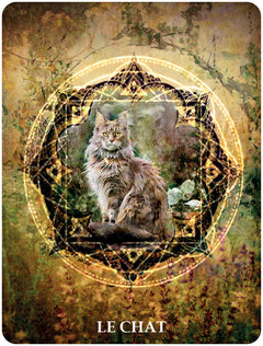 60 cartes de communication animale