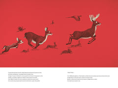 Bambi, une vie dans les bois