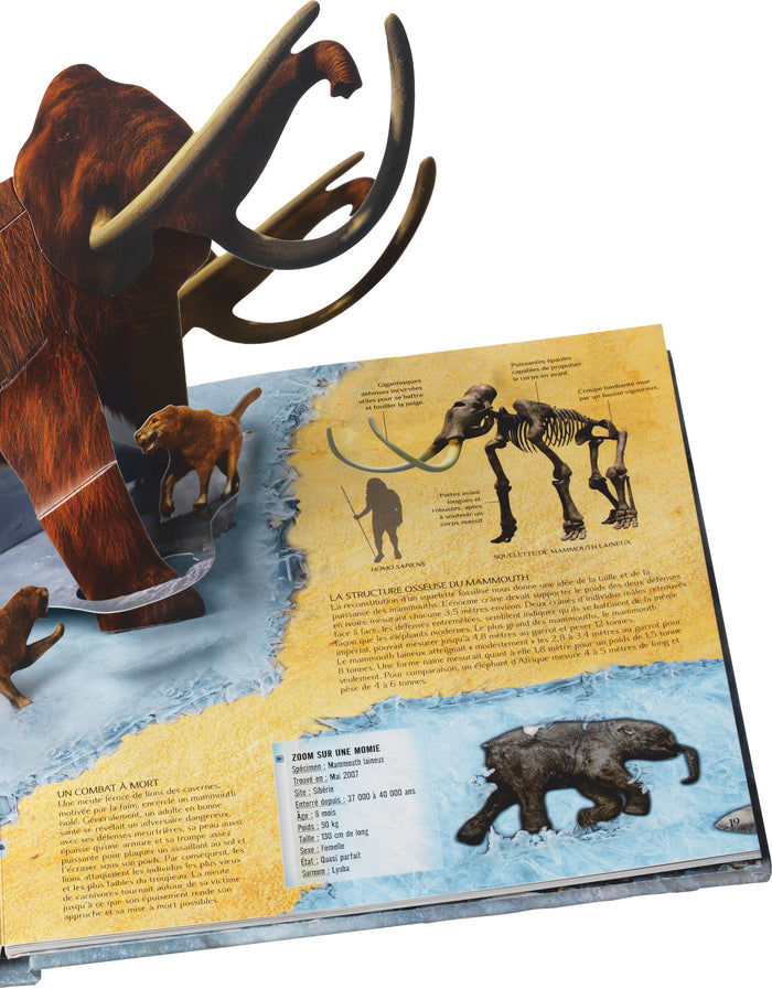 La préhistoire au temps de l'âge de glace