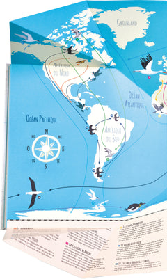 Les grands voyageurs