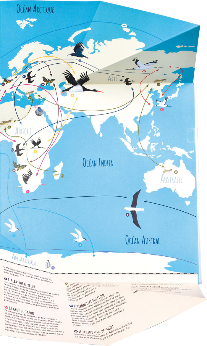 Les grands voyageurs