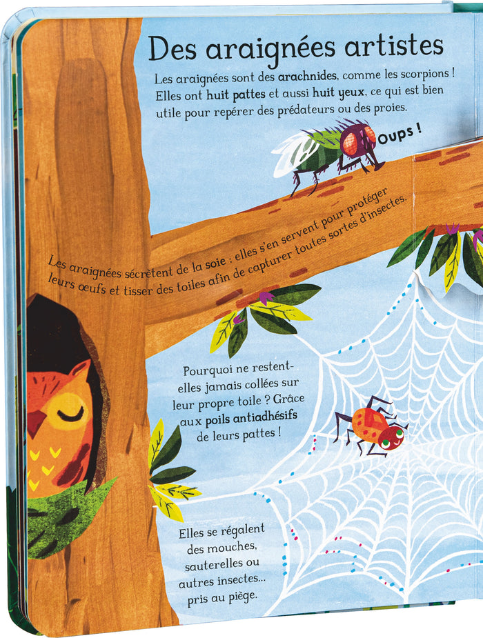 Toutes ces petites bêtes