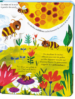 Toutes ces petites bêtes