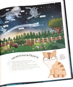 Le chat qui aimait le ciel et les étoiles