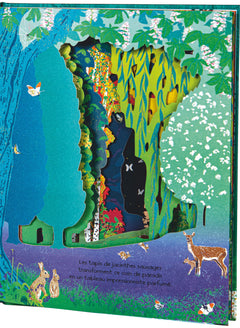 Au coeur de nos forêts