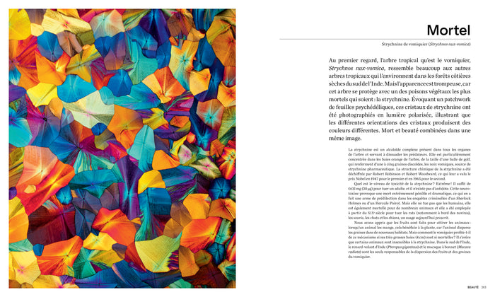 Les formes de la nature