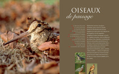 Le grand livre de la chasse