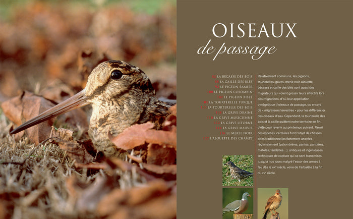 Le grand livre de la chasse