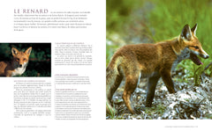 Le grand livre de la chasse