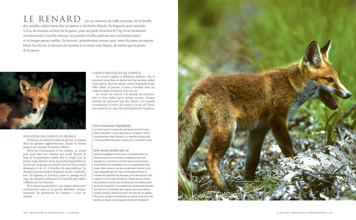 Le grand livre de la chasse