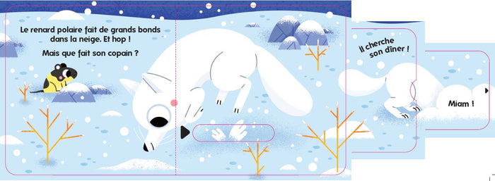 Qui s'amuse sur la banquise ?