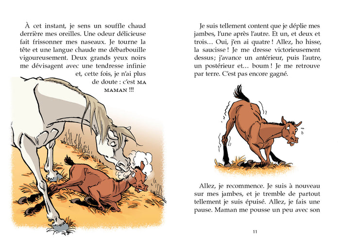 Le crack d'Alexandrie