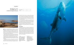 Le tour du monde en 80 plongées (petit format)