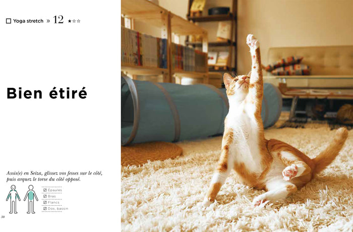 Le yoga du chat