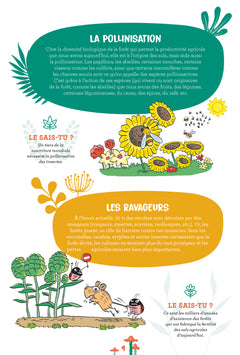 Mission forêt